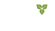 The Tree Authority Logo